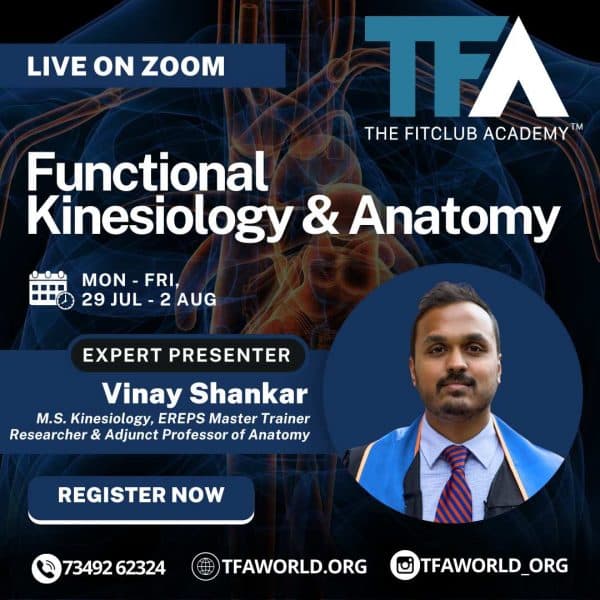 Functional Kinesiology & Anatomy