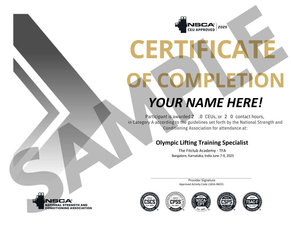 Strength & Conditioning Mentorship Program - Image 3